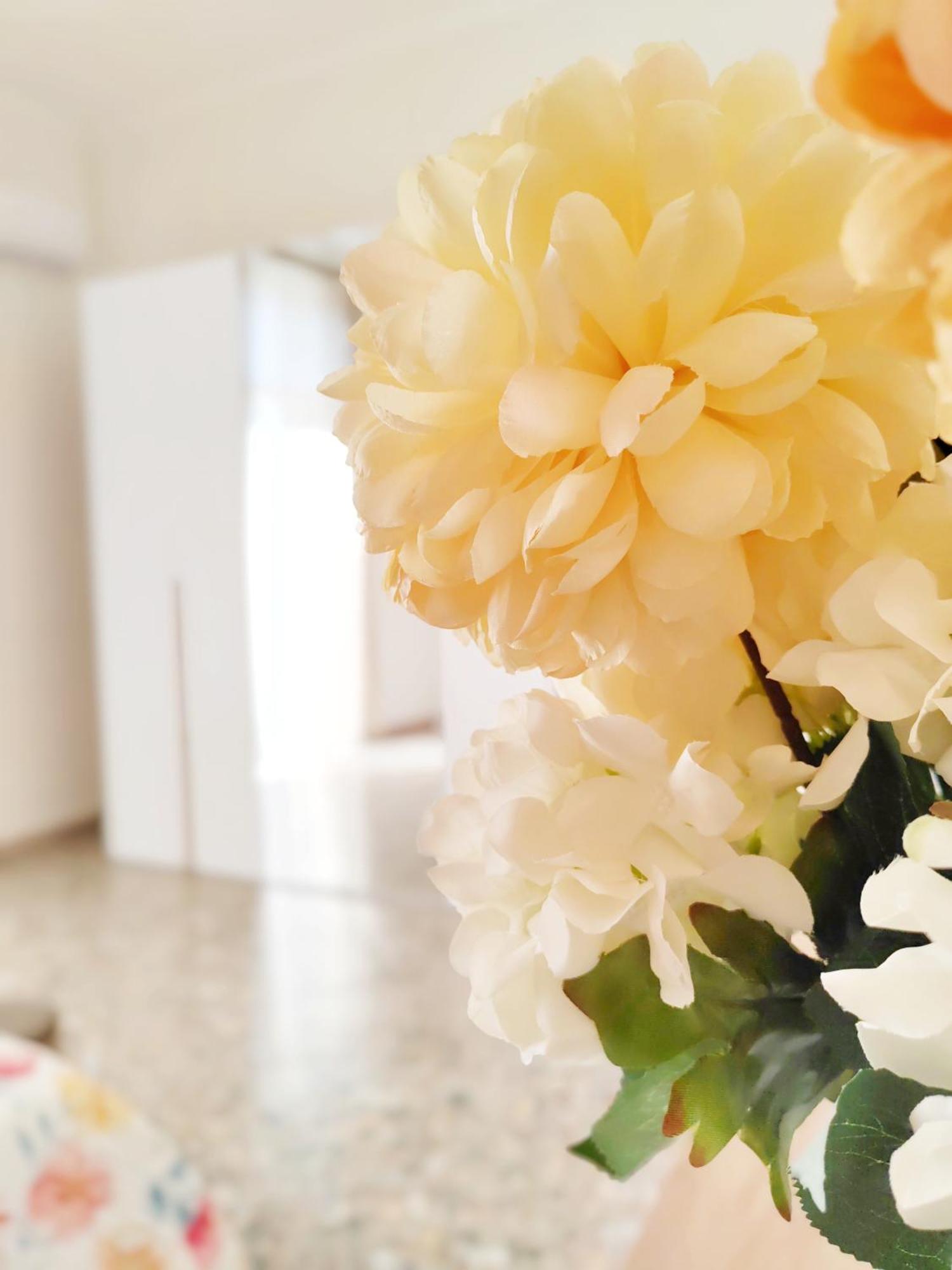 Dimora Amira Apartment โมโนโปลี ภายนอก รูปภาพ